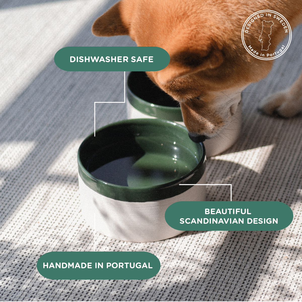 Dog drinking from a green pet bowl on a textured surface with branding and text overlay.
