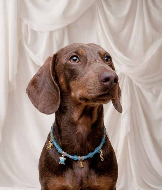 Dog Charm Necklace – Sea-Inspired Decorative Collar | Sira