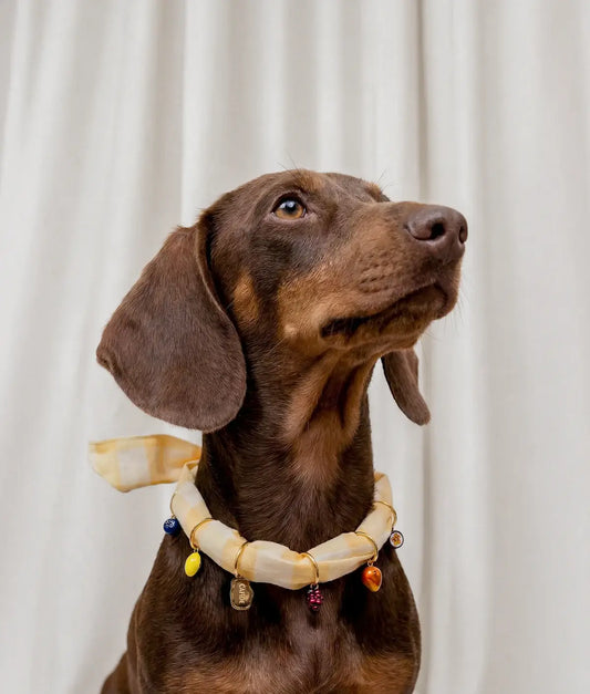 Dog Charm Set – 7 Fruit Charms | Interchangeable Accessories (Sira)