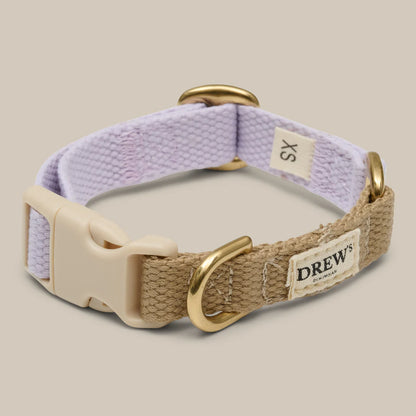 Dog collar with purple and beige straps on a beige background