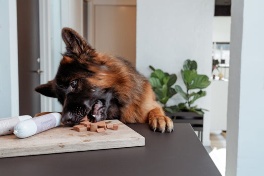 Dog Food Sausage – Deer Pâté (350g)