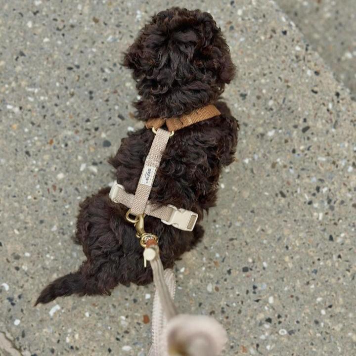 Dog Harness Cortado – Lightweight & Stylish