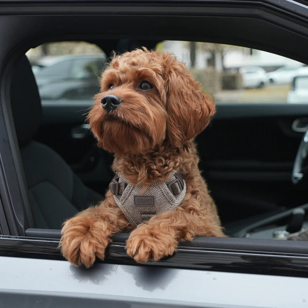 Dog Harness Elma in Mocca | Comfortable Adjustable Scandinavian Design