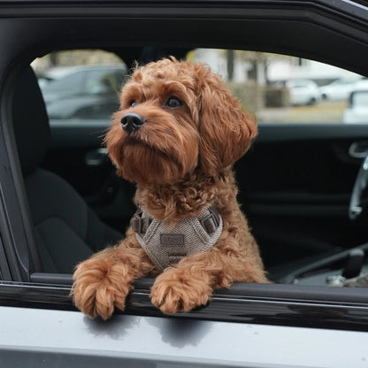 Dog Harness Elma in Mocca | Comfortable Adjustable Scandinavian Design
