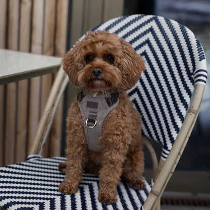 Dog Harness Elma in Mocca | Comfortable Adjustable Scandinavian Design