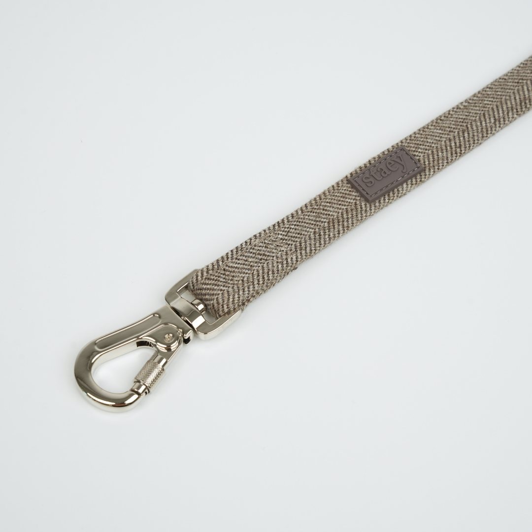 Beige woven belt with silver buckle on a light gray background