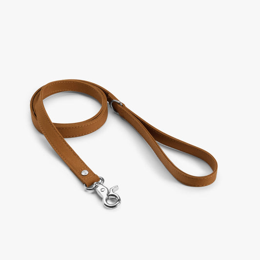 Brown dog leash with a silver clasp on a white background
