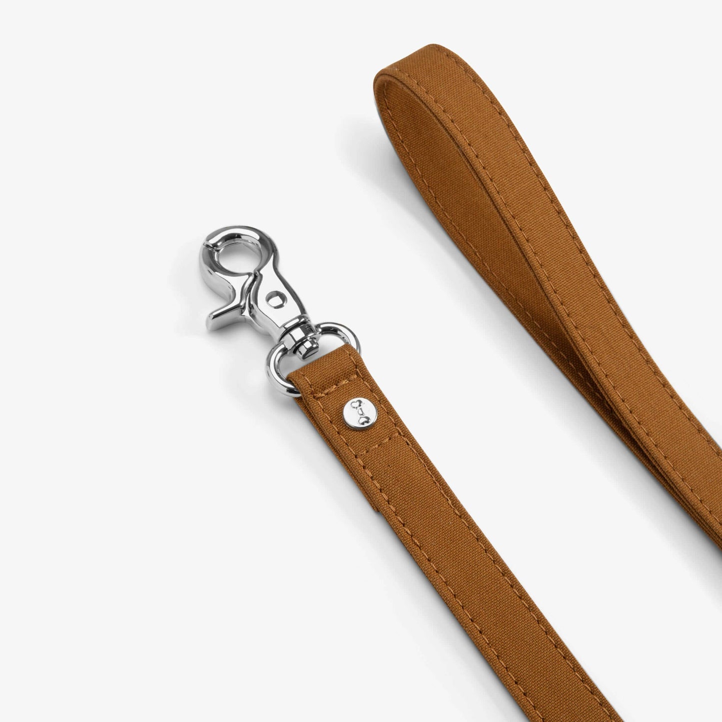 Brown dog leash with silver clasp on a white background