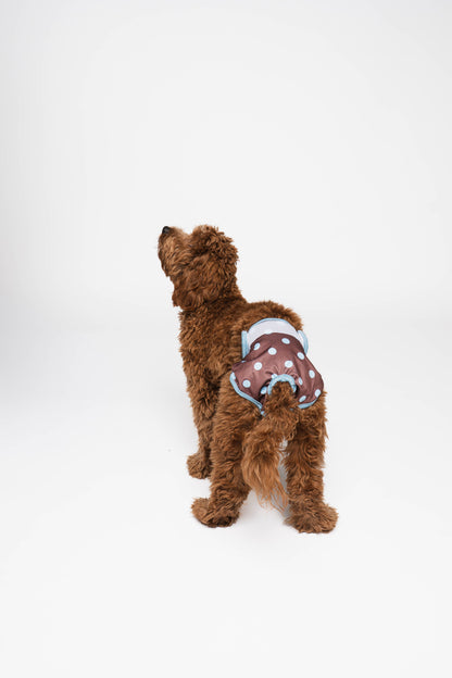 Dog wearing a diaper with a polka dot pattern on a white background