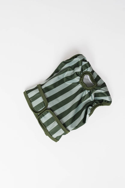 Dog Period Panties – Stripes (Reusable & Washable)