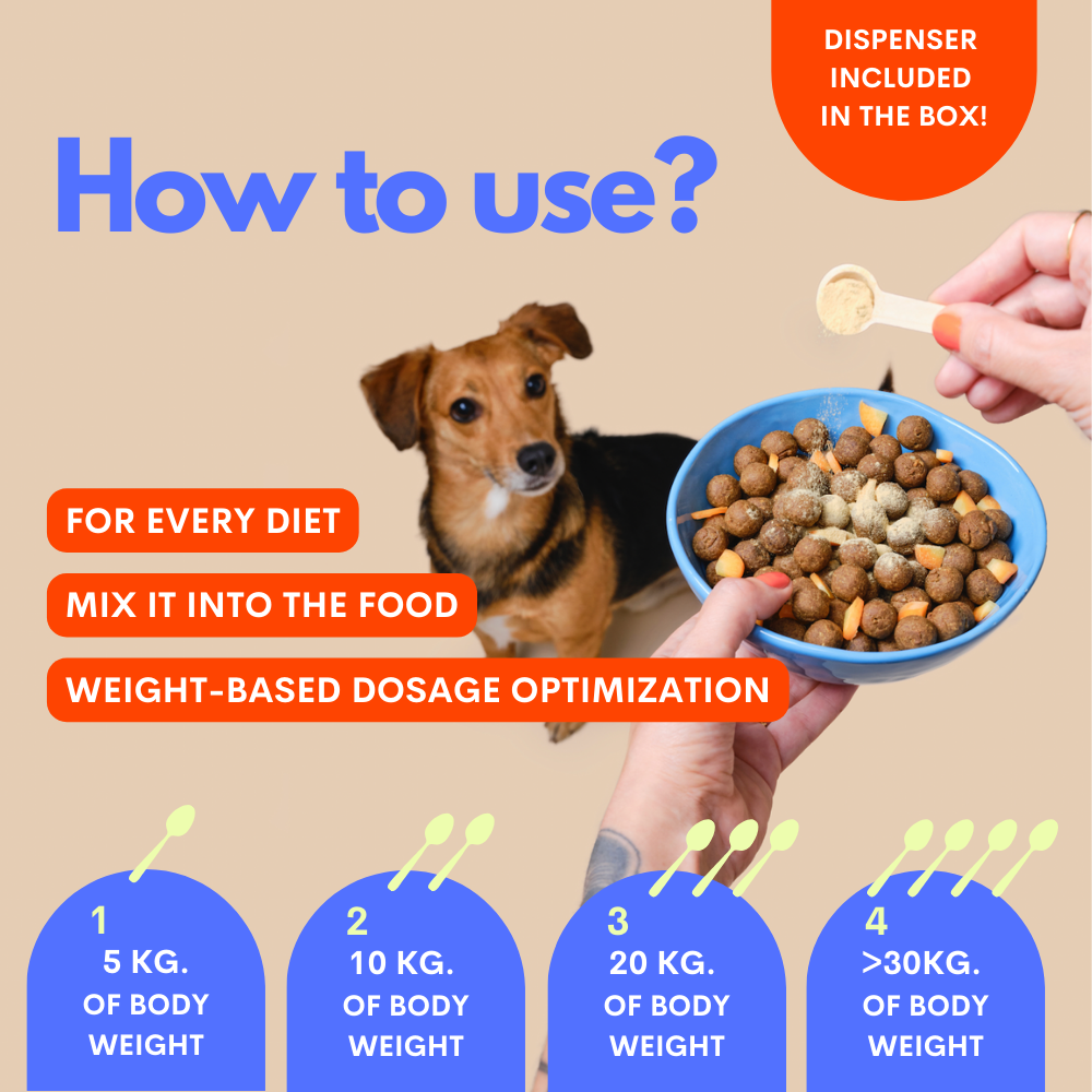 Instructional graphic titled 'How to use?' showing a dog next to a blue bowl of kibble with a hand holding a spoon and another hand holding the box. Orange and blue text boxes explain feeding dosage based on body weight, with four numbered blue circles at the bottom.