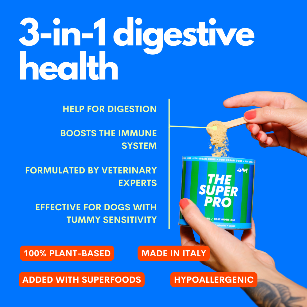 A person's hands hold a tin of 'The Super Pro' dog supplement against a bright blue background with white and orange text detailing its digestive health benefits.