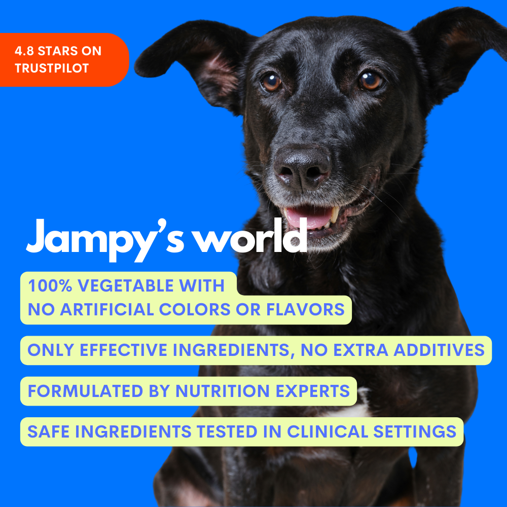 A black dog on a bright blue background with promotional text for 'Jampy's world' pet product. The text highlights vegetable-based ingredients, no artificial colors or flavors, and clinical testing.
