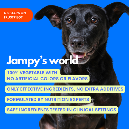 A black dog on a bright blue background with promotional text for 'Jampy's world' pet product. The text highlights vegetable-based ingredients, no artificial colors or flavors, and clinical testing.