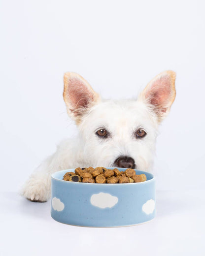Cloud Stoneware Pet Bowl 14cm Set of 2 – Satin Blue | Designer Dog Bowls