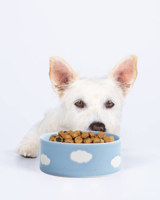 Cloud Stoneware Pet Bowl 14cm Set of 2 – Satin Blue | Designer Dog Bowls
