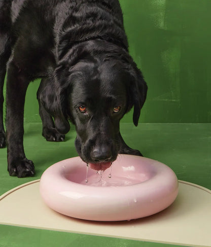 Yellow ceramic dog feeder