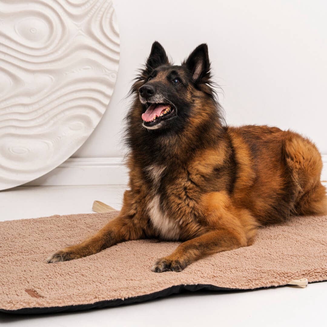 Mia Teddy Travel Mat – Comfort Anywhere, Anytime