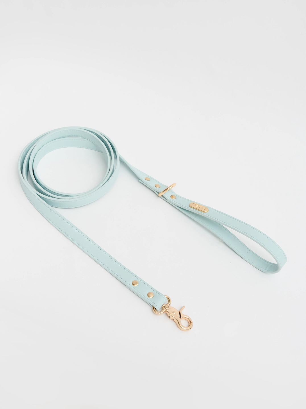 Eco-Leather Dog Leash 2 m | Tiffany