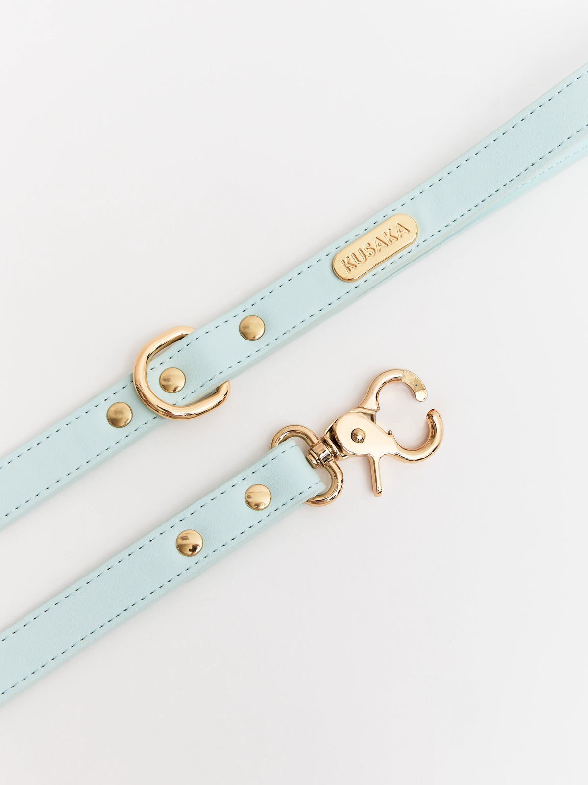 Eco-Leather Dog Leash 2 m | Tiffany