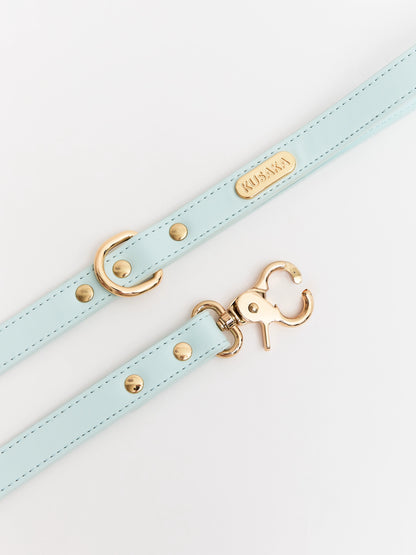 Eco-Leather Dog Leash 2 m | Tiffany
