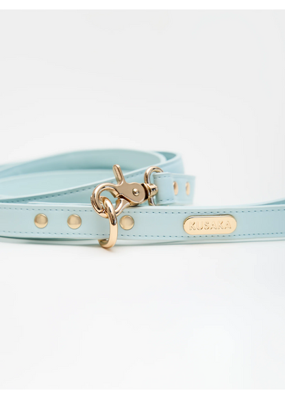 Eco-Leather Dog Leash 2 m | Tiffany