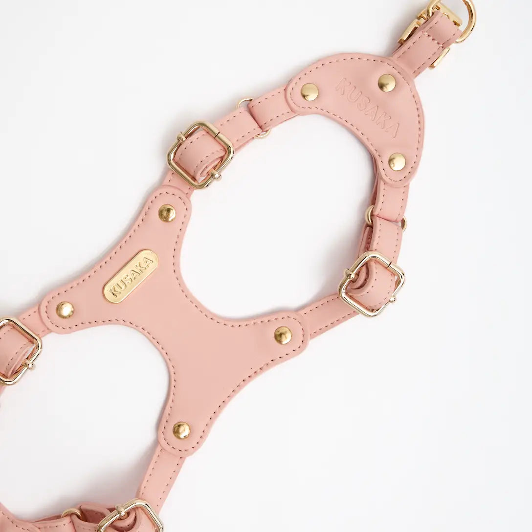 Eco-Leather Refined Small Dog Harness | Sakura
