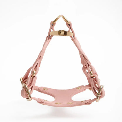 Eco-Leather Refined Small Dog Harness | Sakura