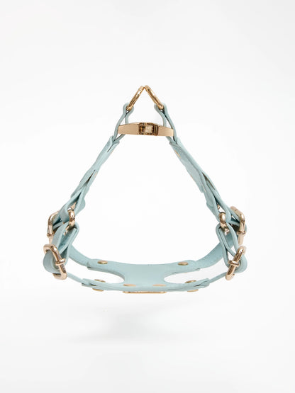 Eco-Leather Refined Small Dog Harness | Tiffany