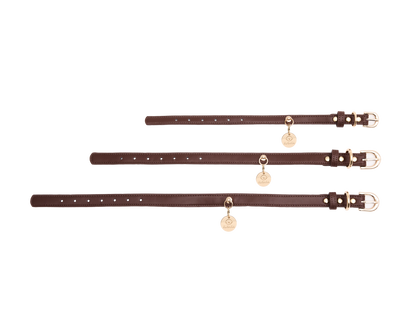 Eco-Leather Small Dog Collar Refined | Chocolate