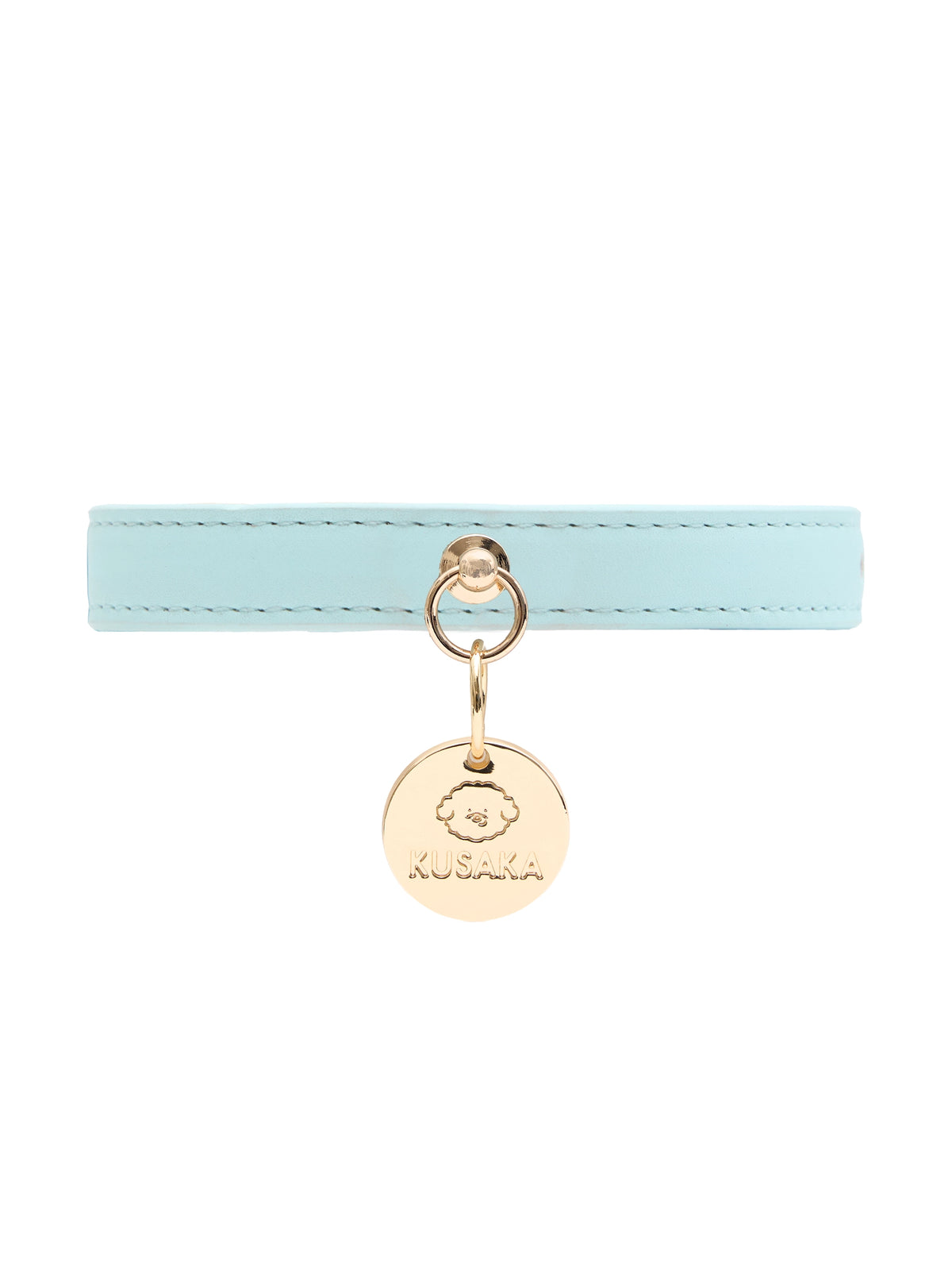 Eco-Leather Small Dog Collar Refined | Tiffany