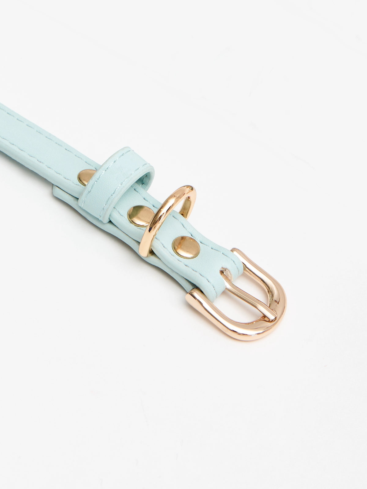 Eco-Leather Small Dog Collar Refined | Tiffany