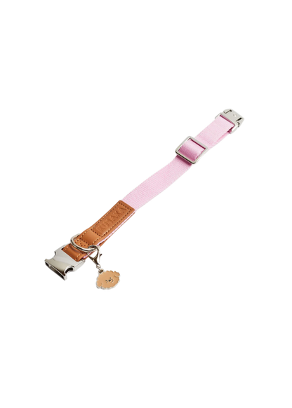 Eco-Leather Small Dog Kusaka Collar | Taffy Pink