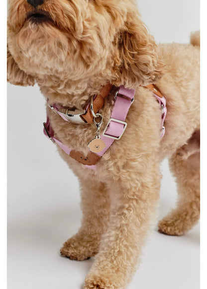 Eco-Leather Small Dog Kusaka Collar | Taffy Pink