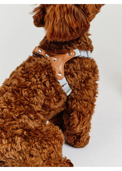 Eco-Leather Small Dog Kusaka Harness | Sky Blue