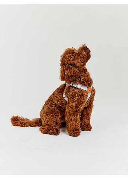 Eco-Leather Small Dog Kusaka Harness | Sky Blue
