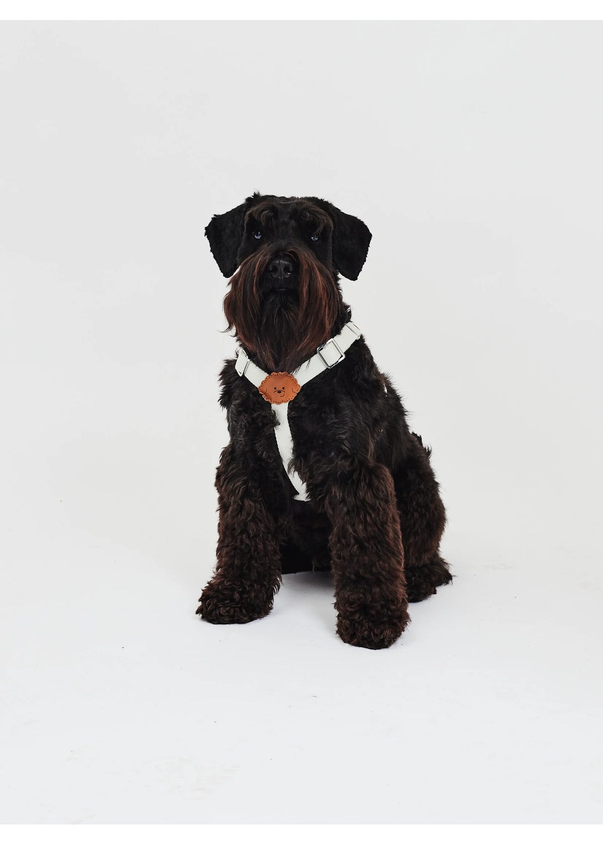 Eco-Leather Small Dog Kusaka Harness | Pearled Ivory