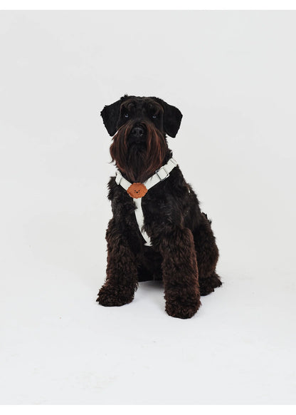 Eco-Leather Small Dog Kusaka Harness | Pearled Ivory