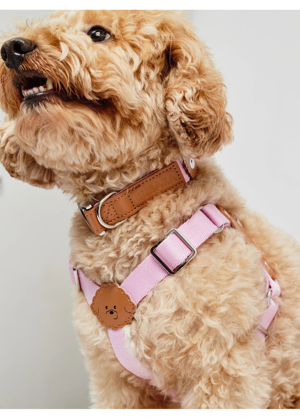 Eco-Leather Small Dog Kusaka Harness | Taffy Pink