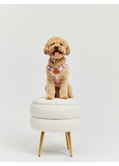 Eco-Leather Small Dog Kusaka Harness | Taffy Pink