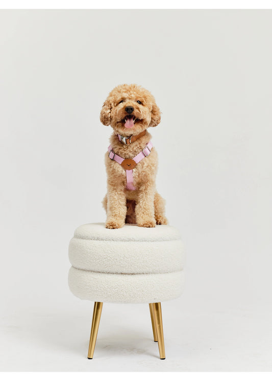 Eco-Leather Small Dog Kusaka Harness | Taffy Pink