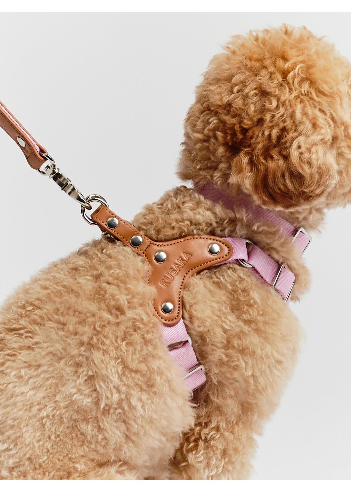 Eco-Leather Small Dog Kusaka Harness | Taffy Pink