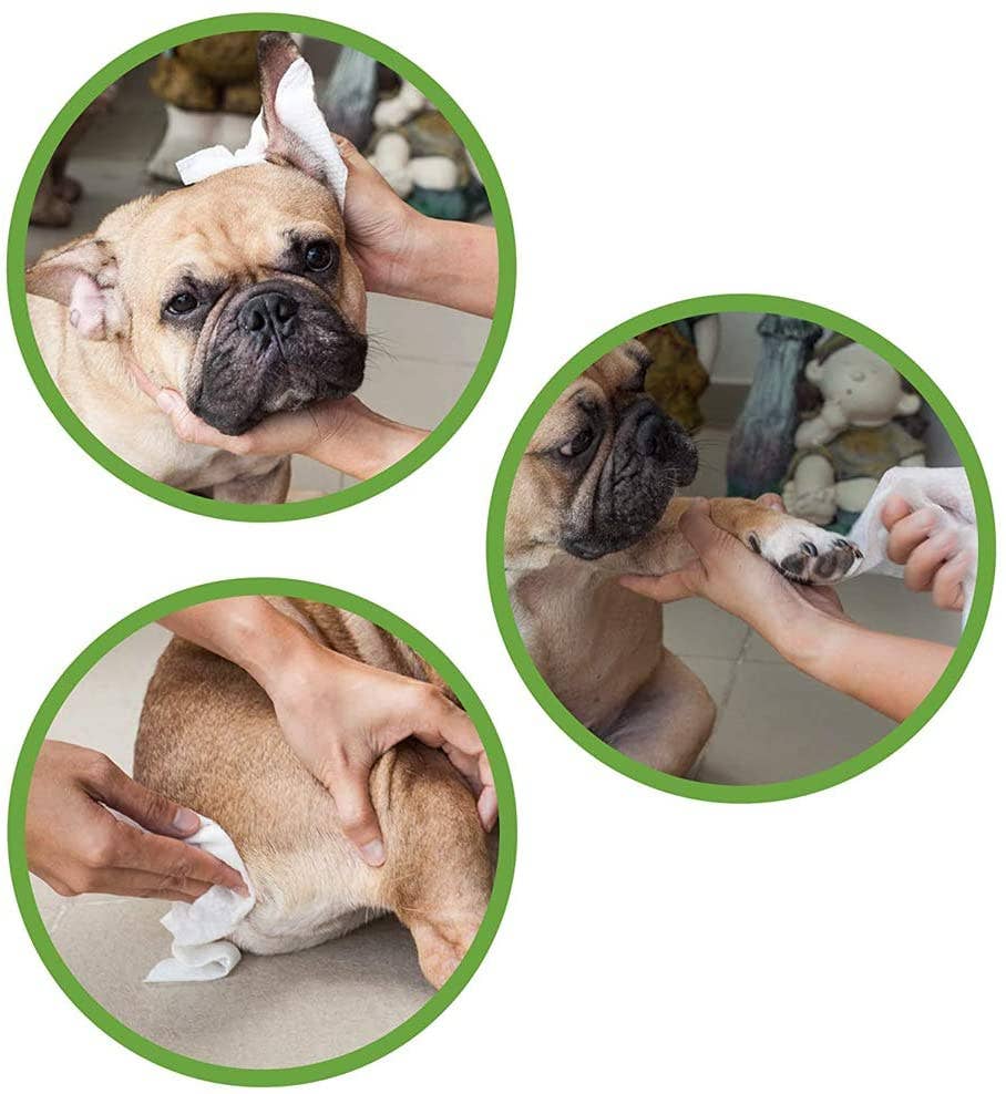 Three circular images showing a dog being groomed with a towel.