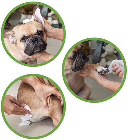 Three circular images showing a dog being groomed with a towel.