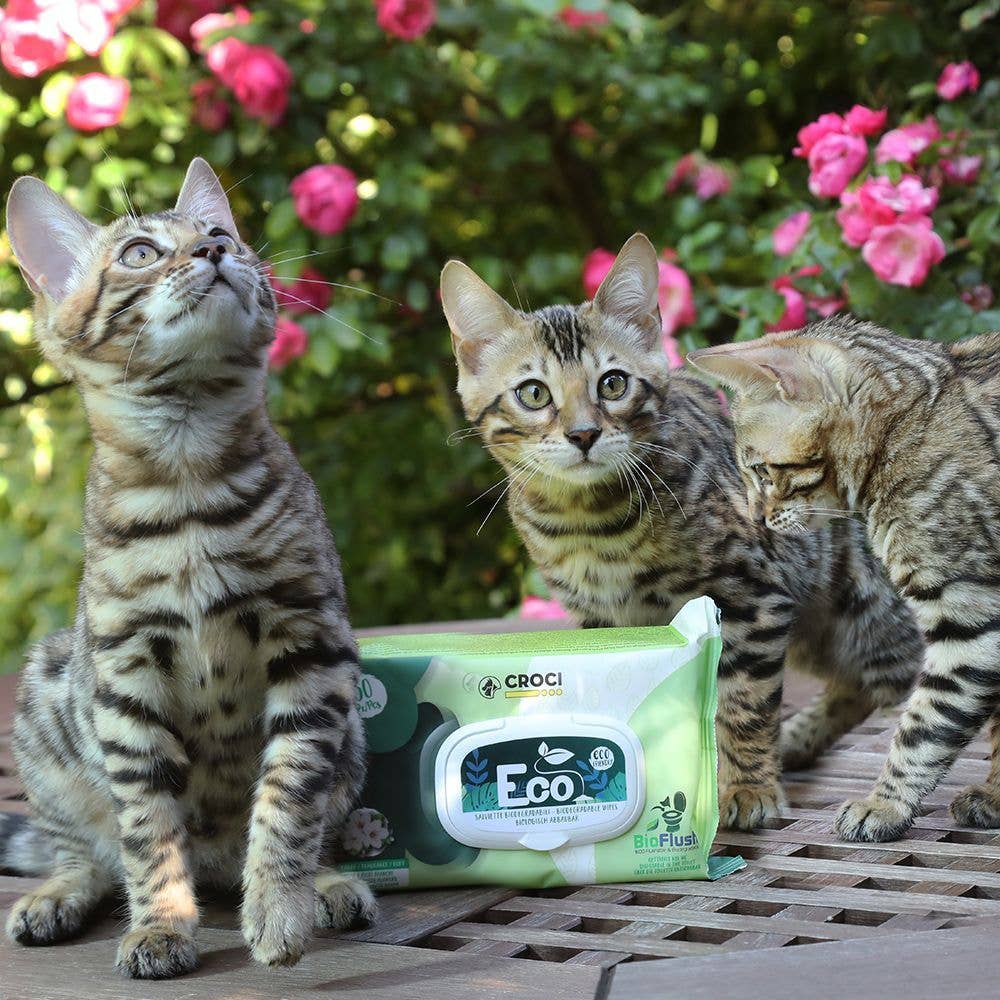 Three kittens standing around a Croci Eco Bioplus package on a wooden surface with flowers in the background.