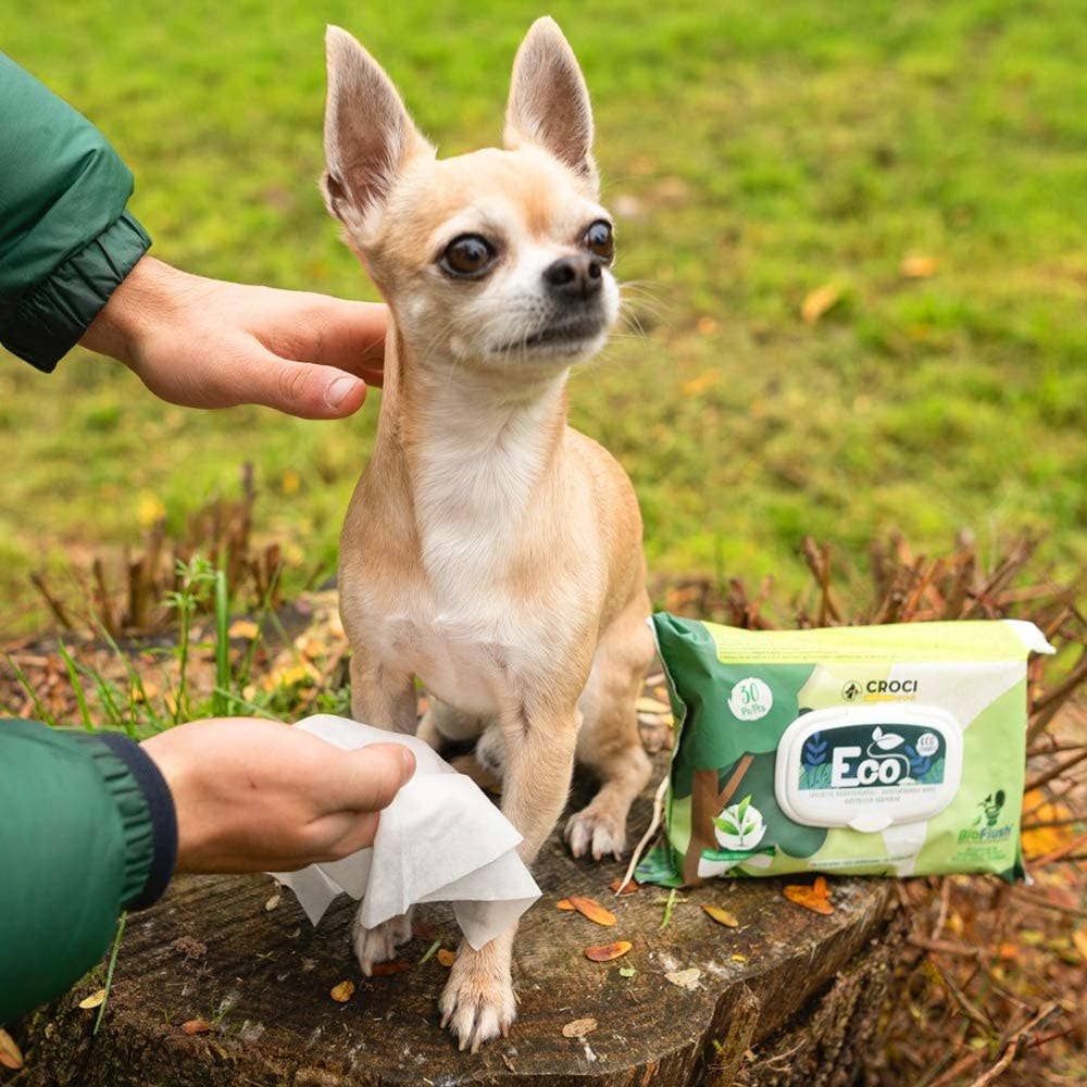 Small dog being wiped with a tissue next to a package of Croci Eco wipes on a natural background