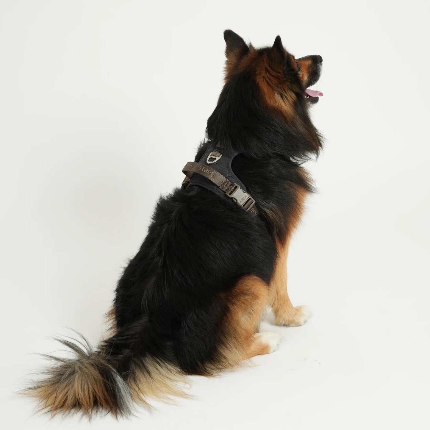 Elma Active Dog Harness – Storm | Danish Design