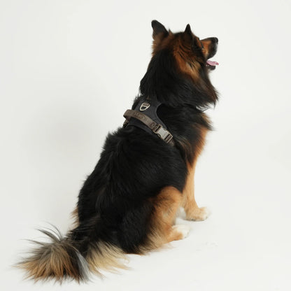Elma Active Dog Harness – Storm | Danish Design