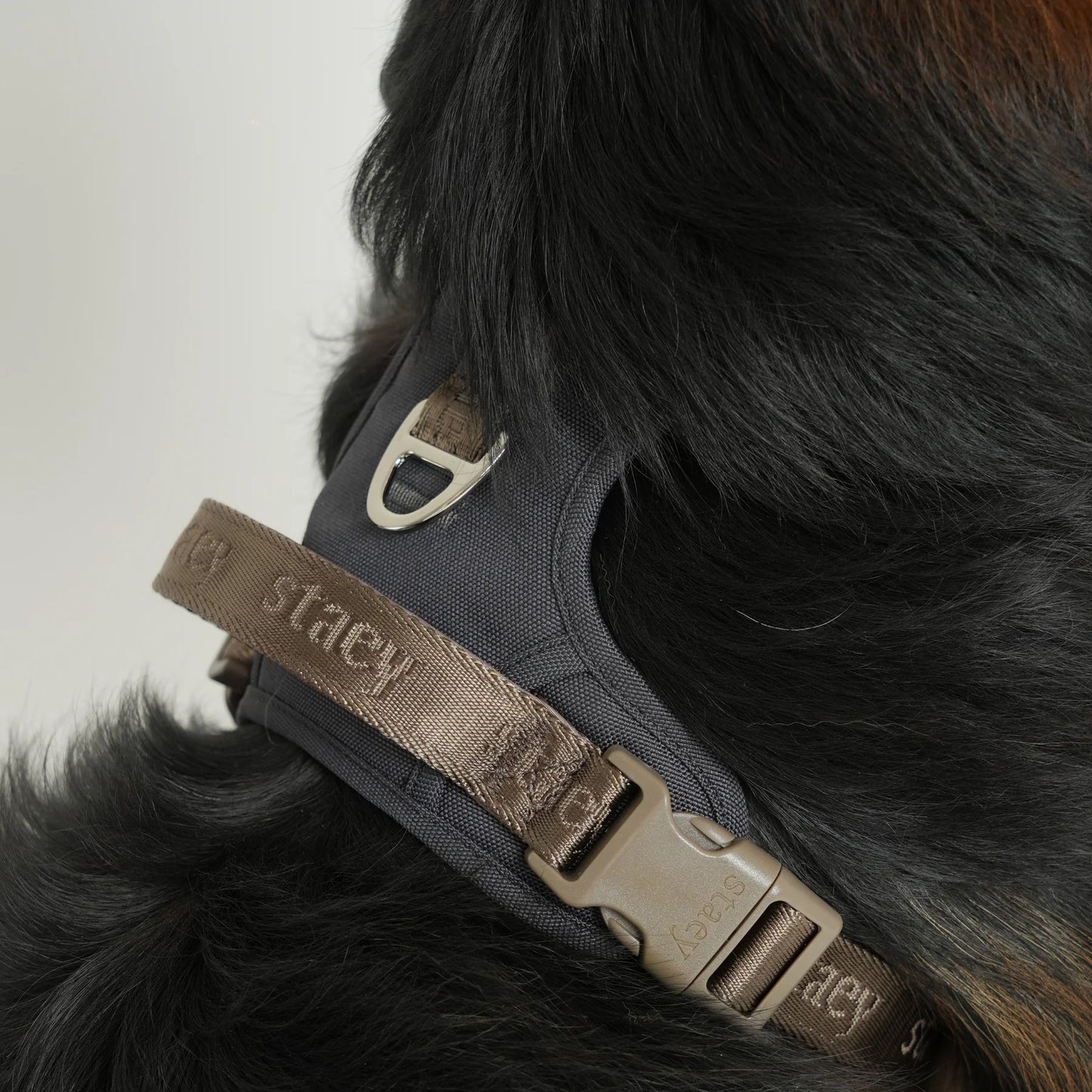 Elma Active Dog Harness – Storm | Danish Design