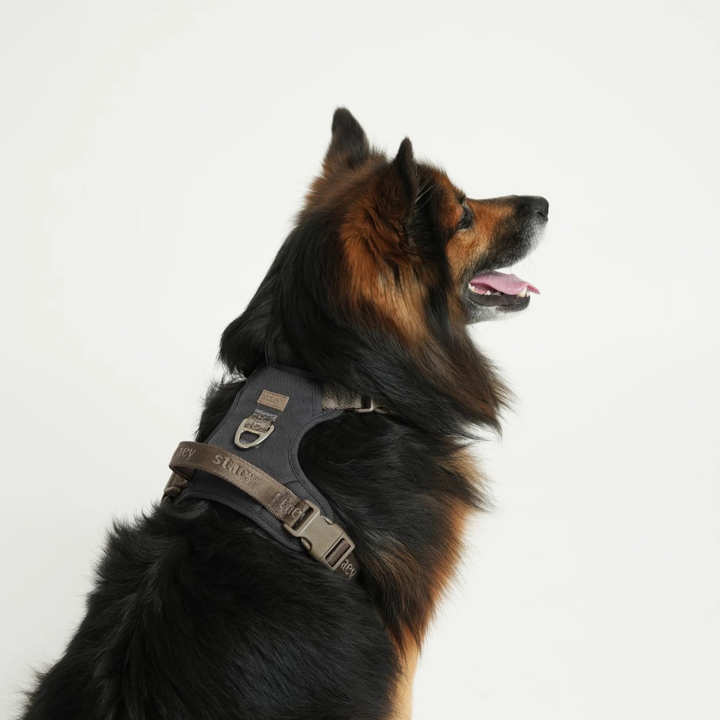 Elma Active Dog Harness – Storm | Danish Design
